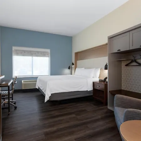 Holiday Inn - Tampa North By Ihg Exterior photo