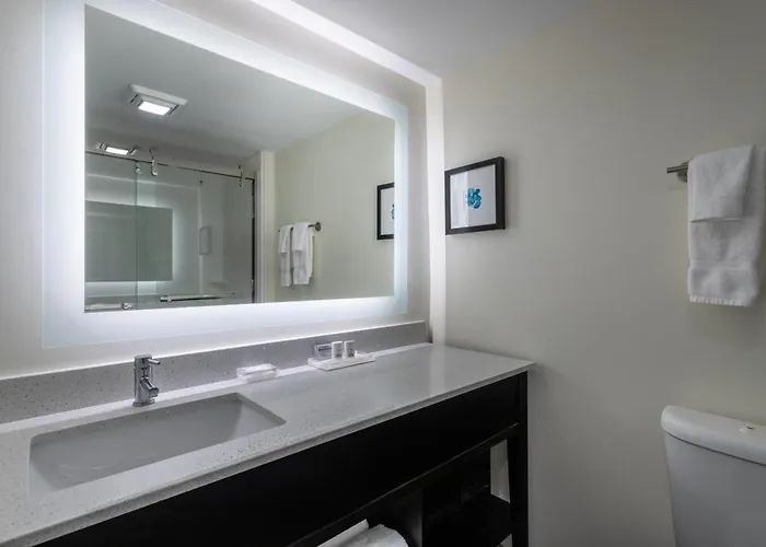 Holiday Inn - Tampa North By Ihg