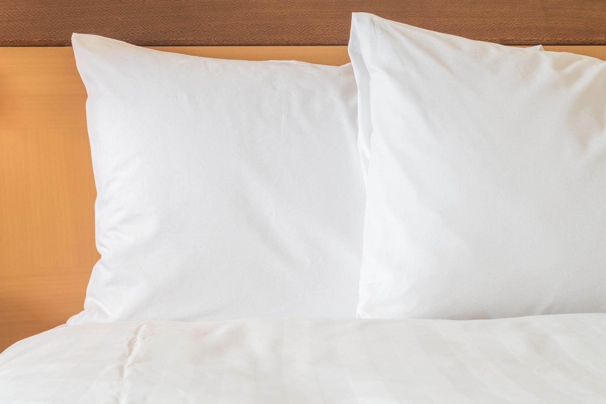 - North By Ihg Tampa